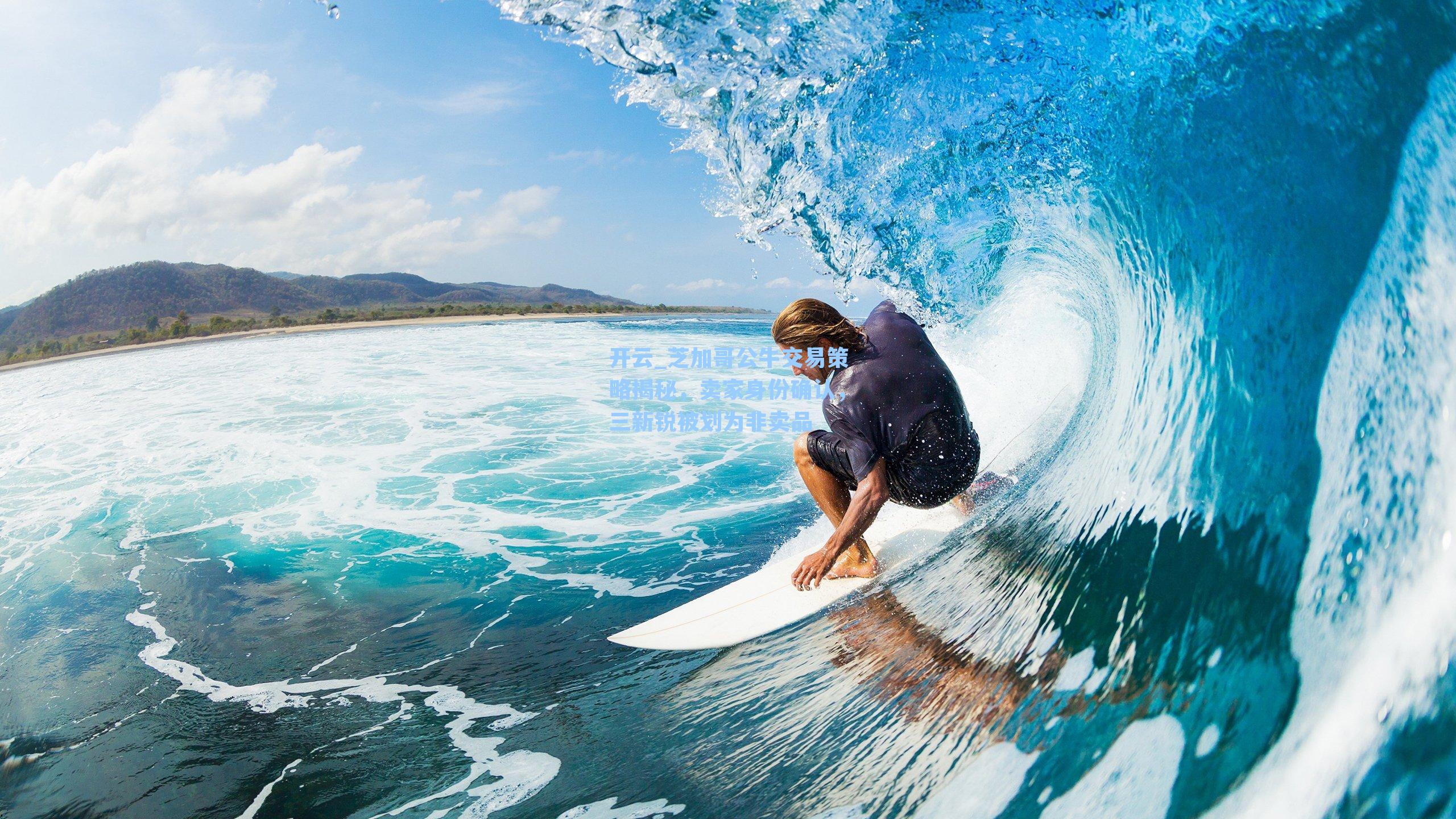 芝加哥公牛交易策略揭秘,卖家身份确认,三新锐被划为非卖品